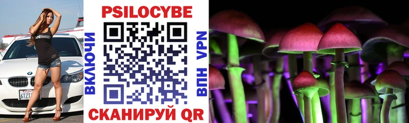 Псилоцибиновые грибы Cubensis  Катав-Ивановск 